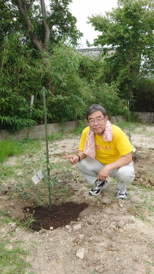 オリーブ植樹　１